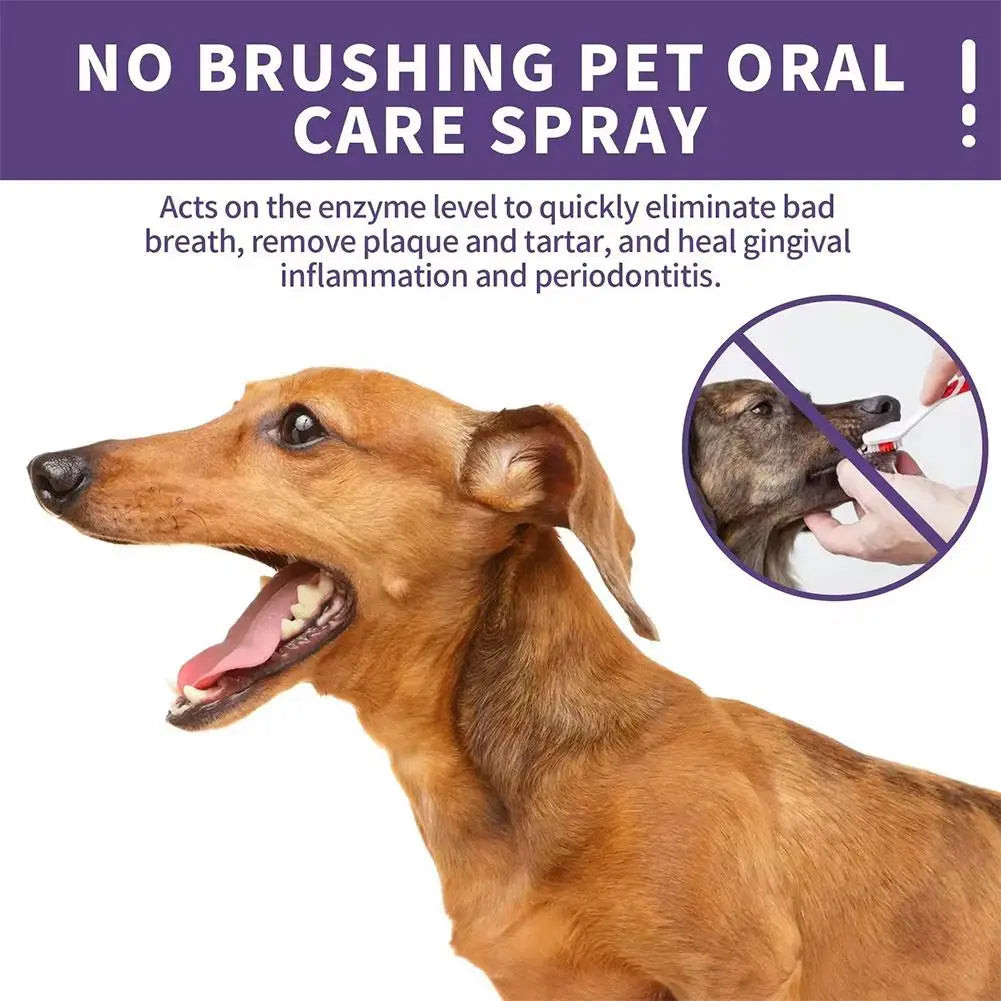 Pet Oral Care Spray for Cat Dog Instant Pet Fresh Breath Dental Care Teeth