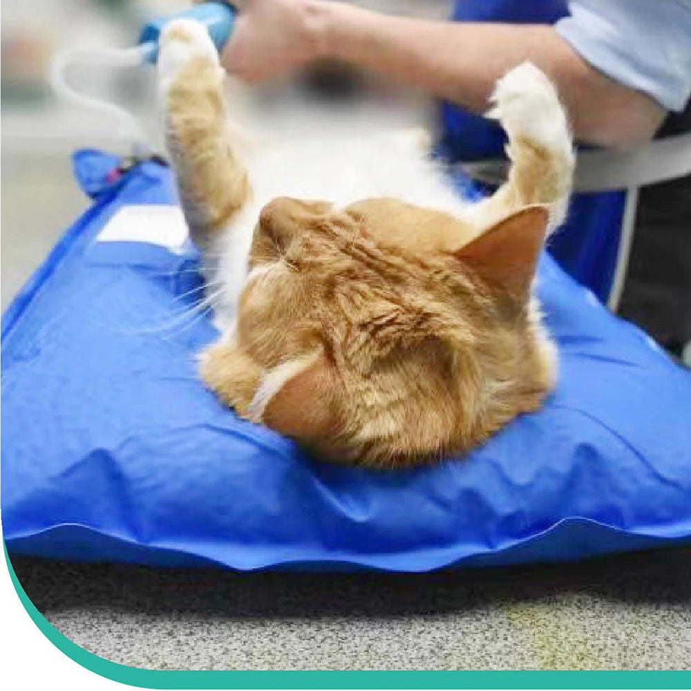 Animal Surgical Accessories Pet Vacuum Positioning Mat Small Veterinary