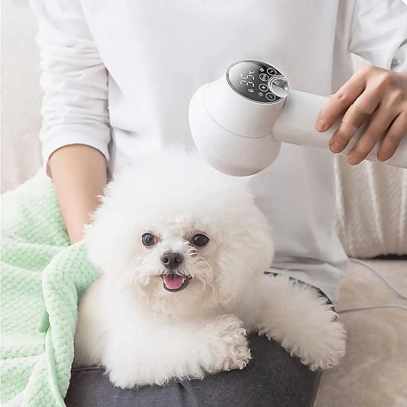 Pet Hair Dryer Dog Cat Hair Dryers Puppy Hair Care Supplies Small Dog Special