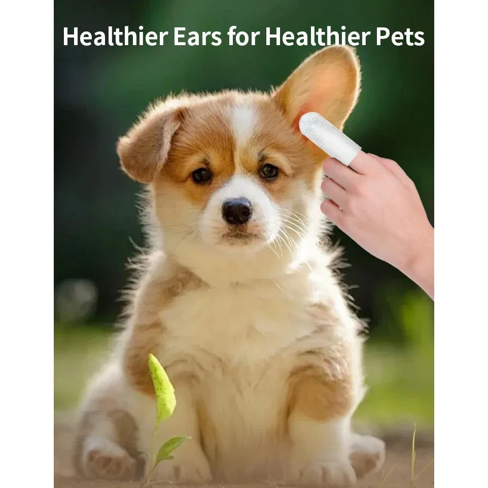 Pet cleaning products  Ear cleaning wipes  Ear care fingertips  Ear mite removal