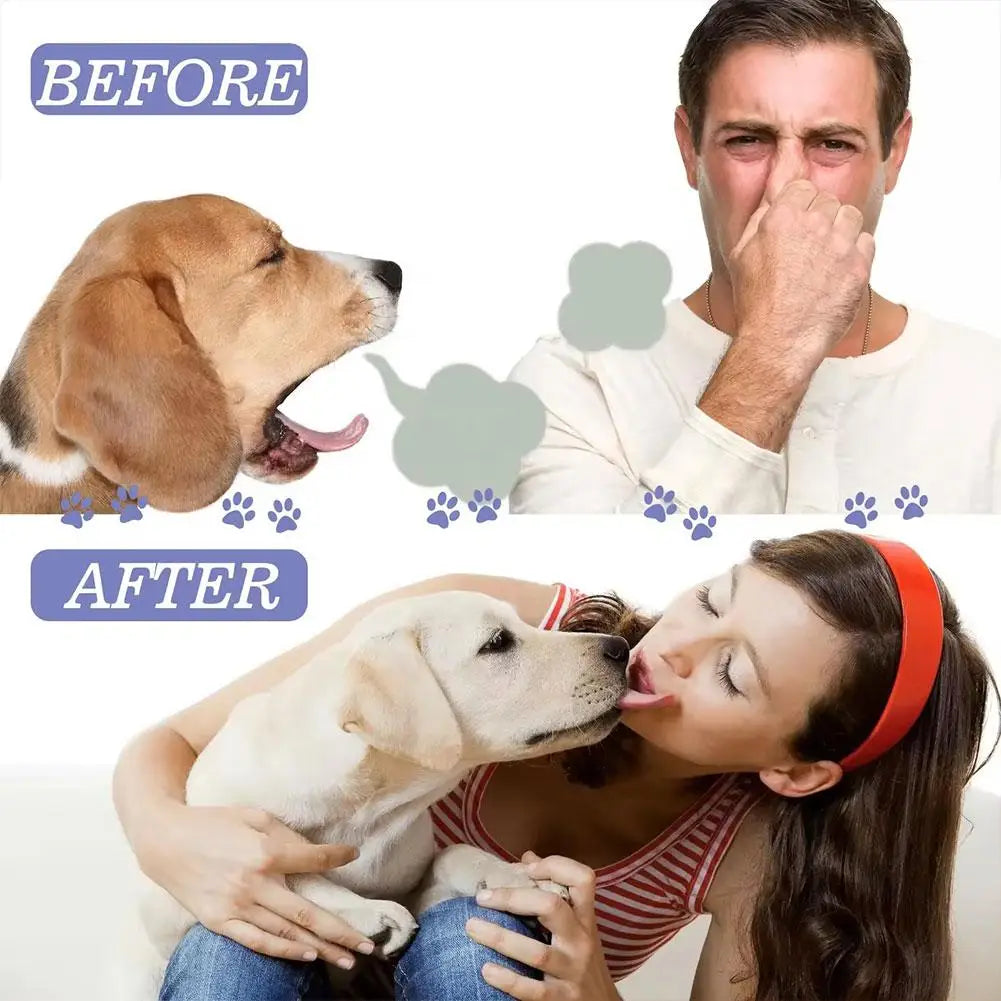 Pet Oral Care Spray for Cat Dog Instant Pet Fresh Breath Dental Care Teeth