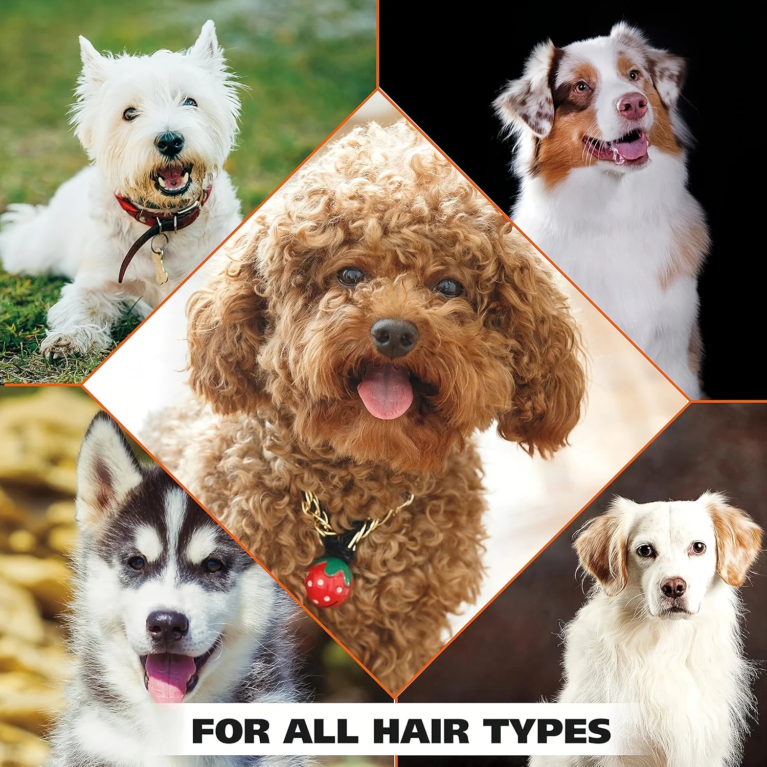 Pet Bath Gel,Pet Shampoo,Cat and Dog Bath Gel,Gentle Soothing Formula,Suitable