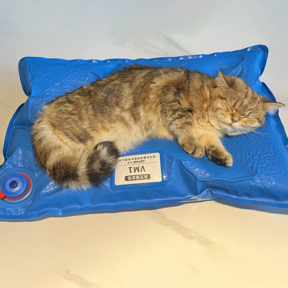 Animal Surgical Accessories Pet Vacuum Positioning Mat Small Veterinary