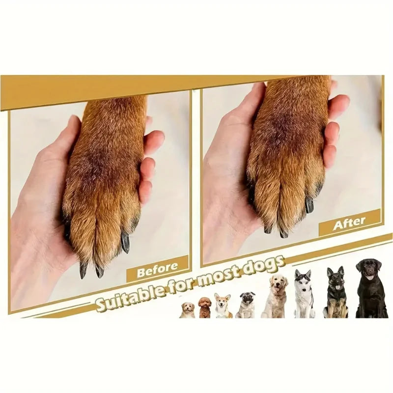Pet Nail Care | Dog Nail File | Dog Scratch Blocks | Pressure-Free Nail Care | Durable