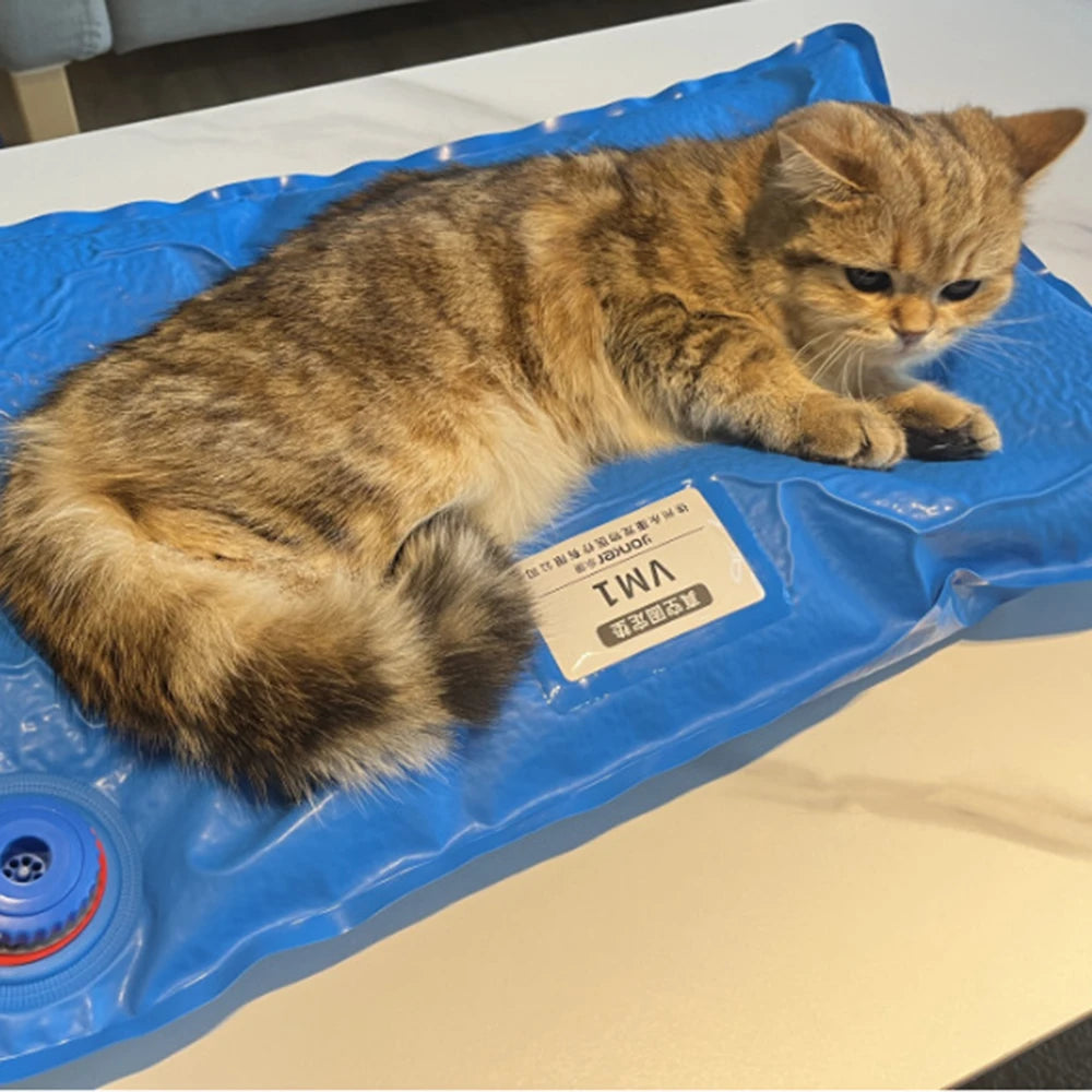 Animal Surgical Accessories Pet Vacuum Positioning Mat Small Veterinary