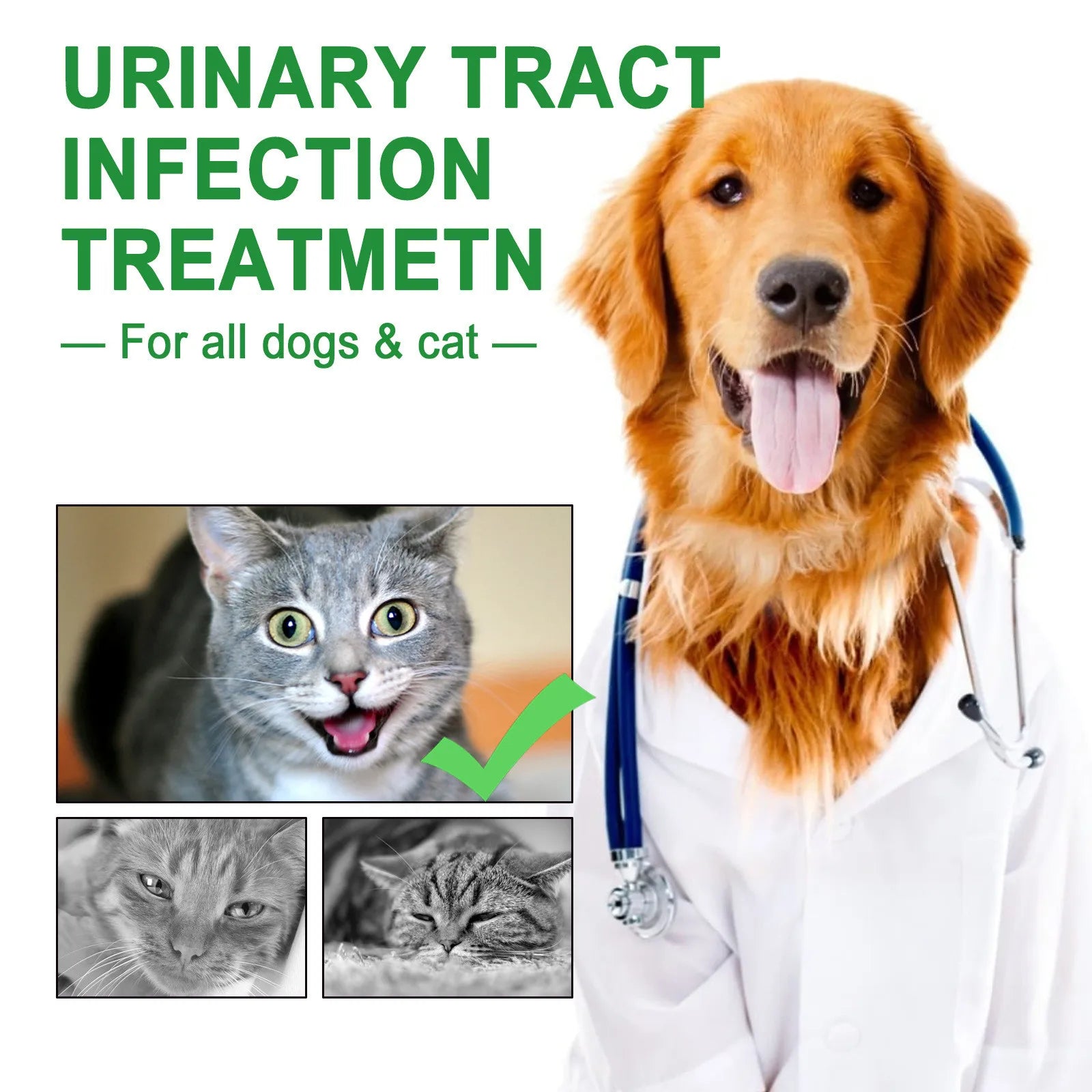 Pet Care Drops specially formulated for cats and dogs