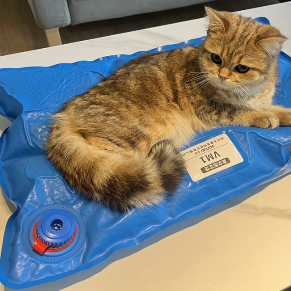 Animal Surgical Accessories Pet Vacuum Positioning Mat Small Veterinary